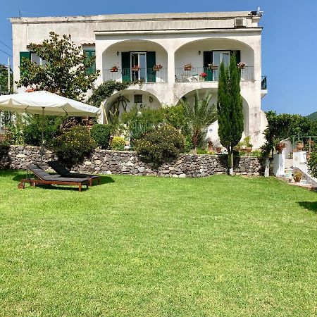 Villa Vincenzo Di Meglio Barano dʼIschia Exteriér fotografie