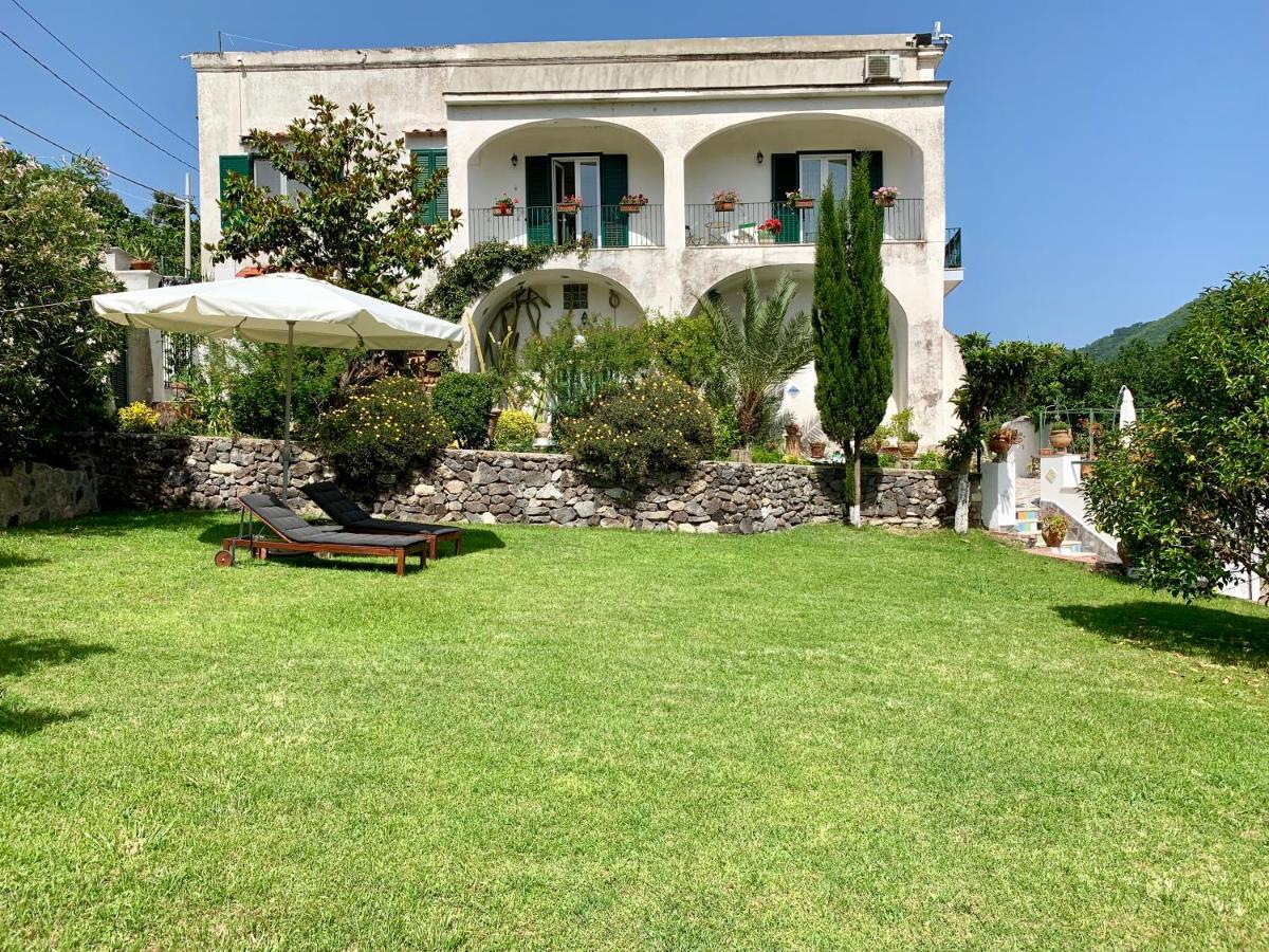 Villa Vincenzo Di Meglio Barano dʼIschia Exteriér fotografie
