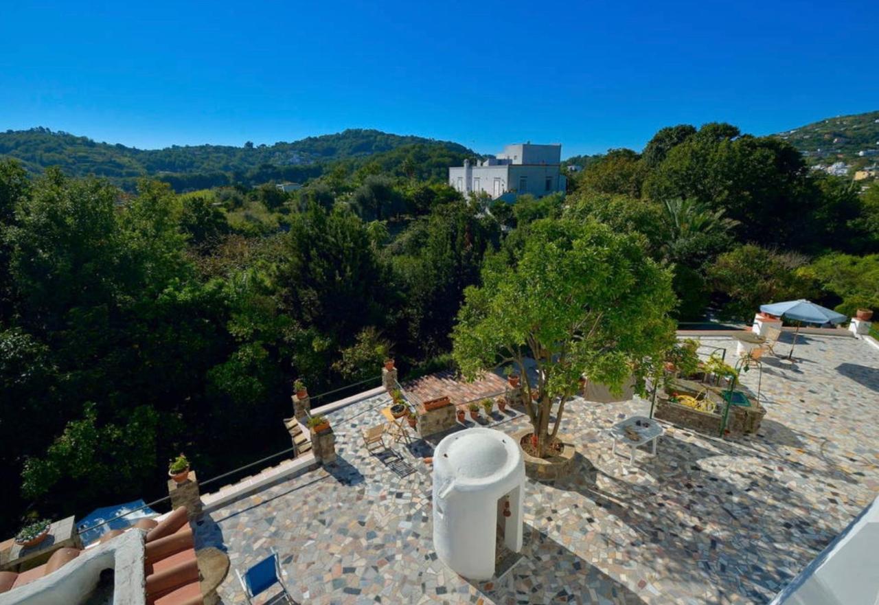 Villa Vincenzo Di Meglio Barano dʼIschia Exteriér fotografie