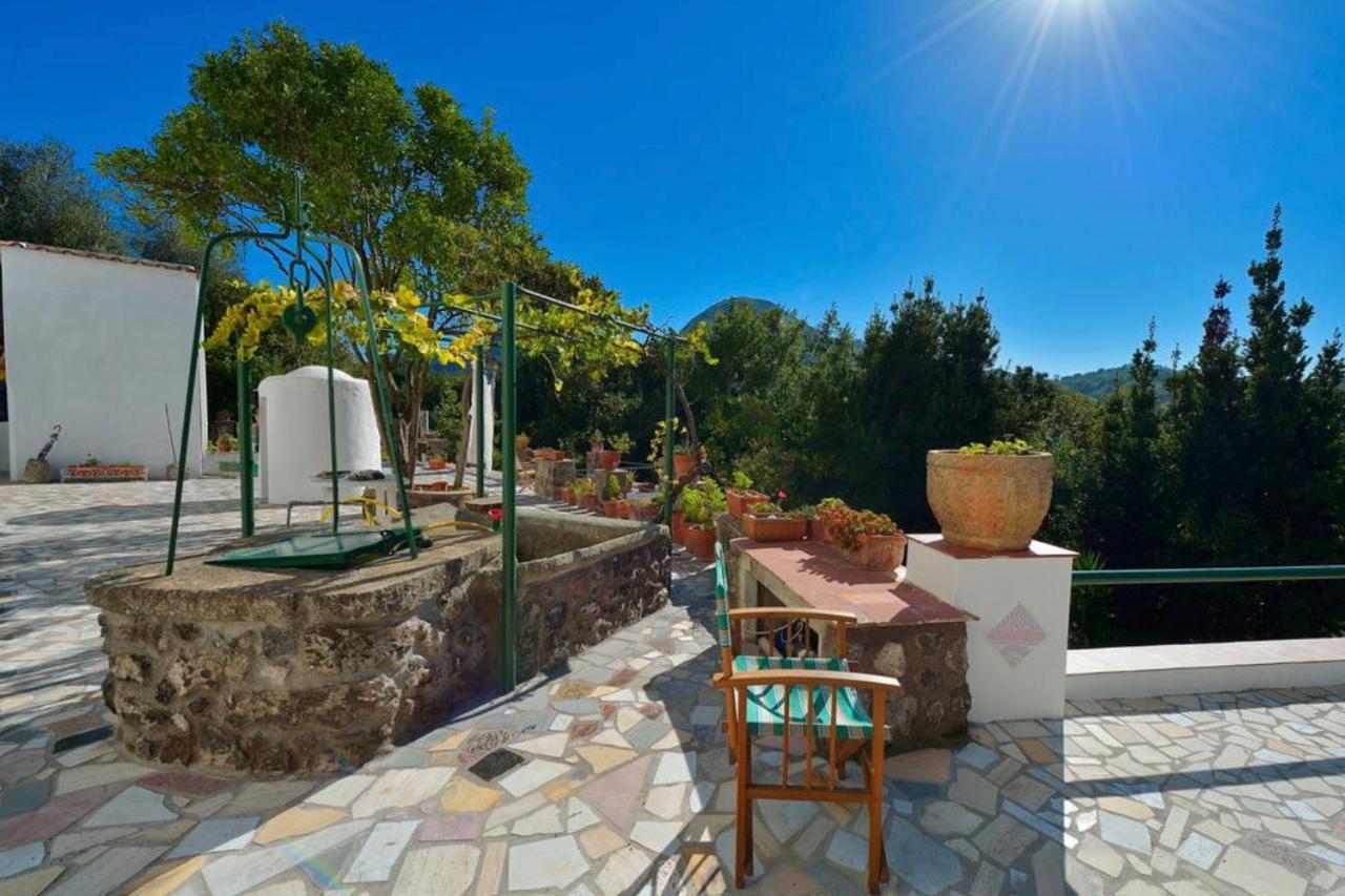Villa Vincenzo Di Meglio Barano dʼIschia Exteriér fotografie