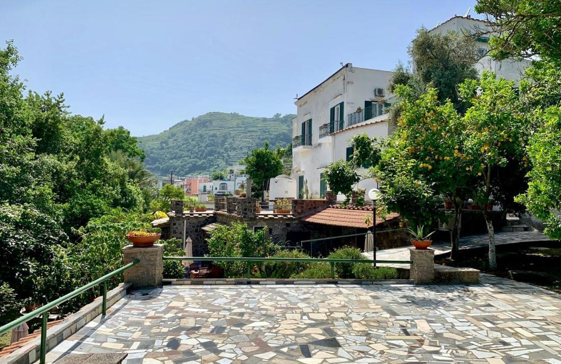 Villa Vincenzo Di Meglio Barano dʼIschia Exteriér fotografie
