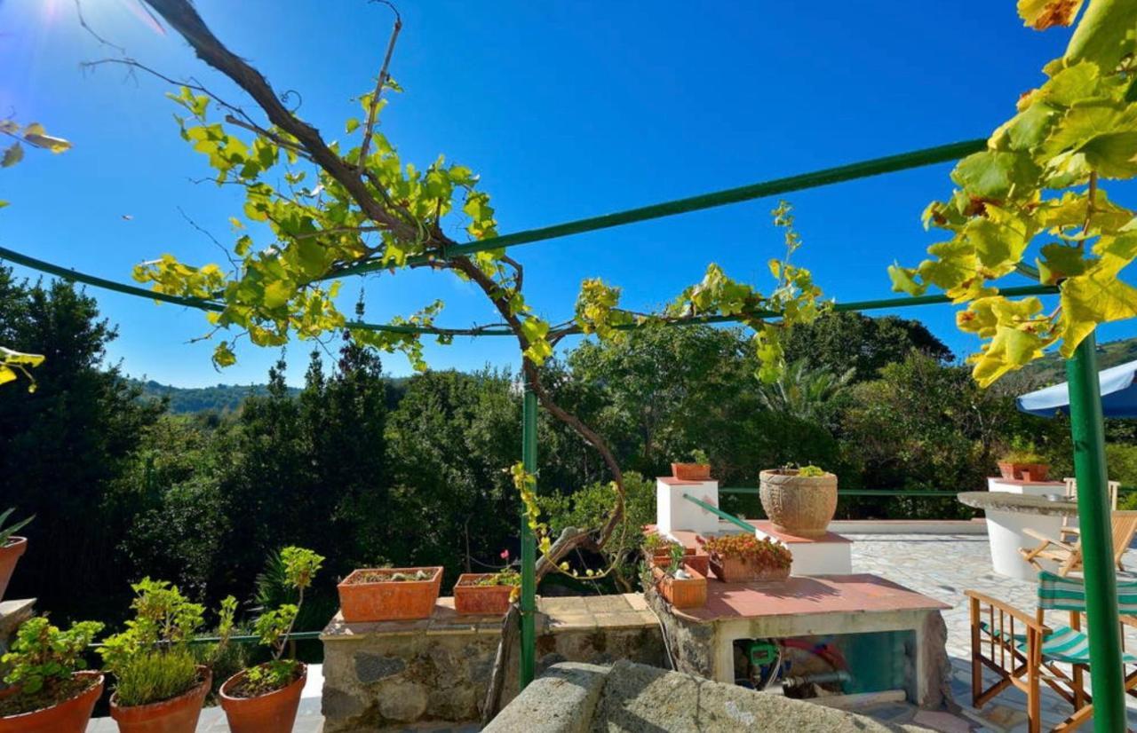 Villa Vincenzo Di Meglio Barano dʼIschia Exteriér fotografie