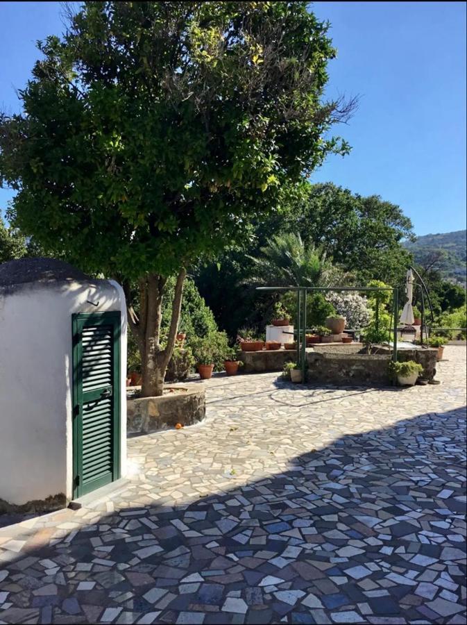 Villa Vincenzo Di Meglio Barano dʼIschia Exteriér fotografie