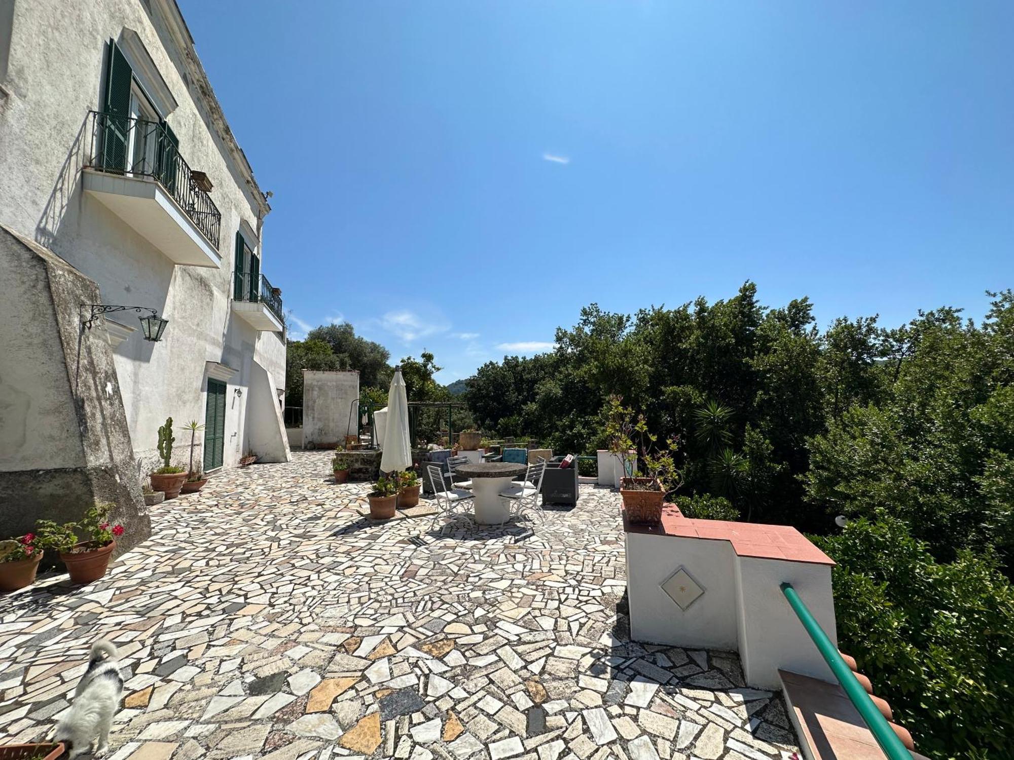 Villa Vincenzo Di Meglio Barano dʼIschia Exteriér fotografie