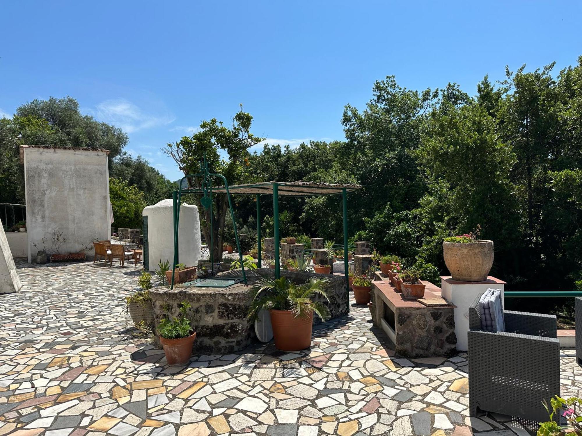 Villa Vincenzo Di Meglio Barano dʼIschia Exteriér fotografie