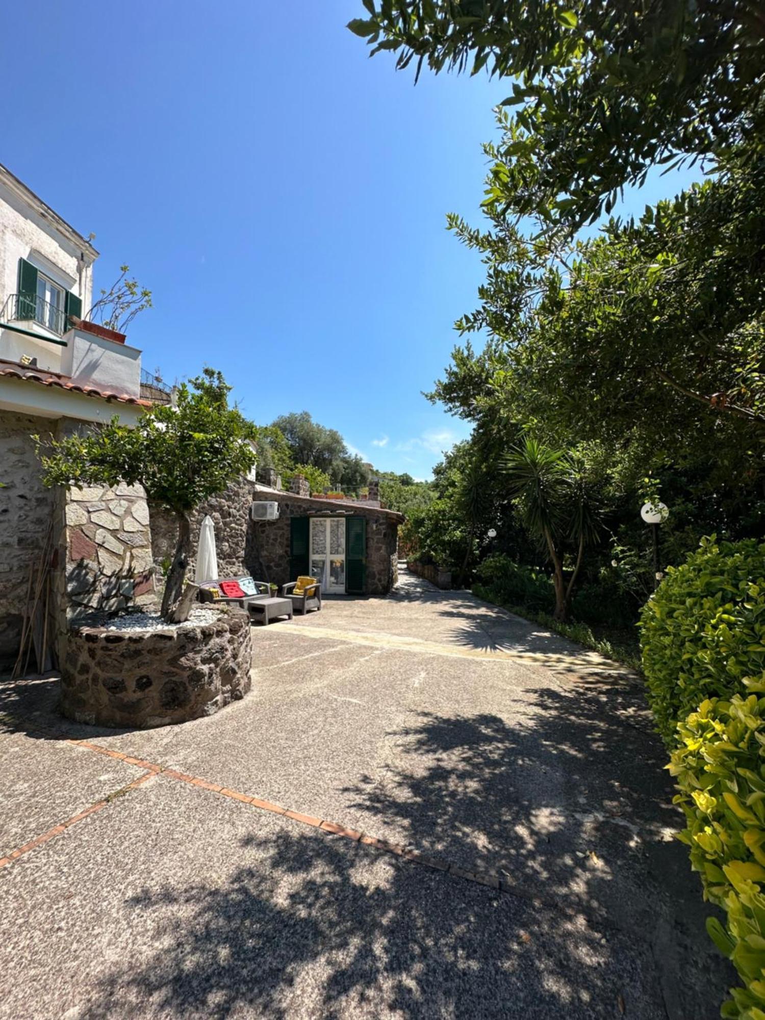 Villa Vincenzo Di Meglio Barano dʼIschia Exteriér fotografie