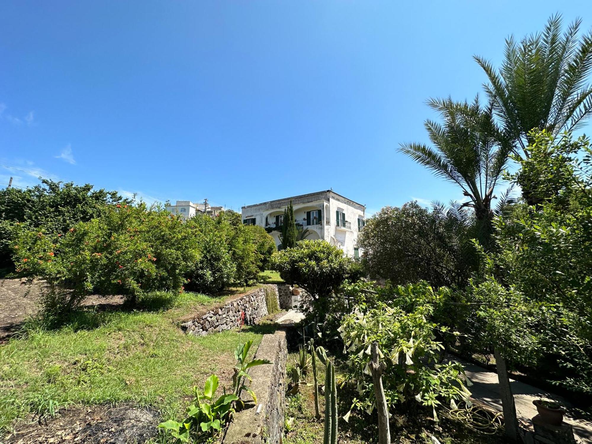 Villa Vincenzo Di Meglio Barano dʼIschia Exteriér fotografie
