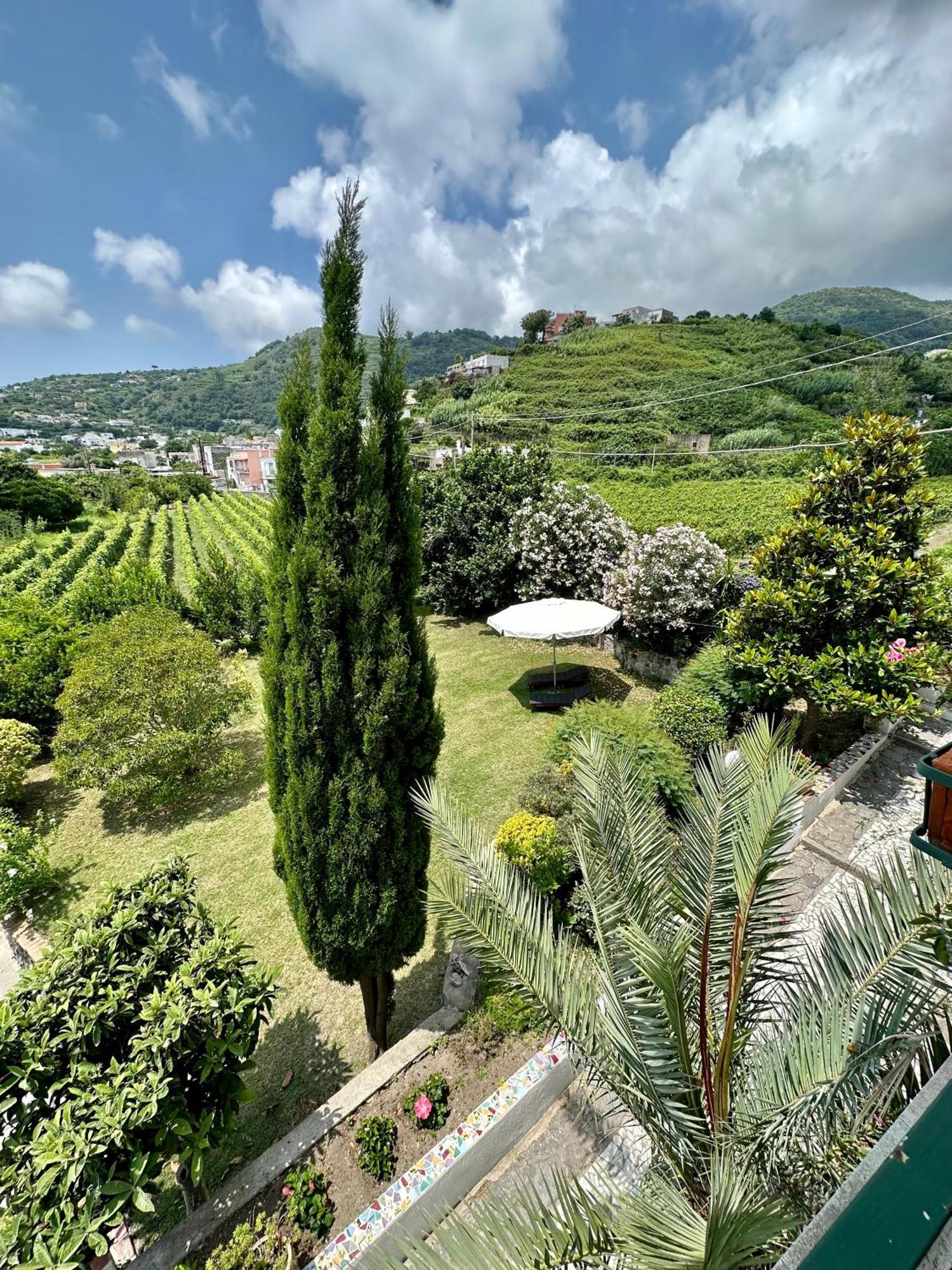 Villa Vincenzo Di Meglio Barano dʼIschia Exteriér fotografie