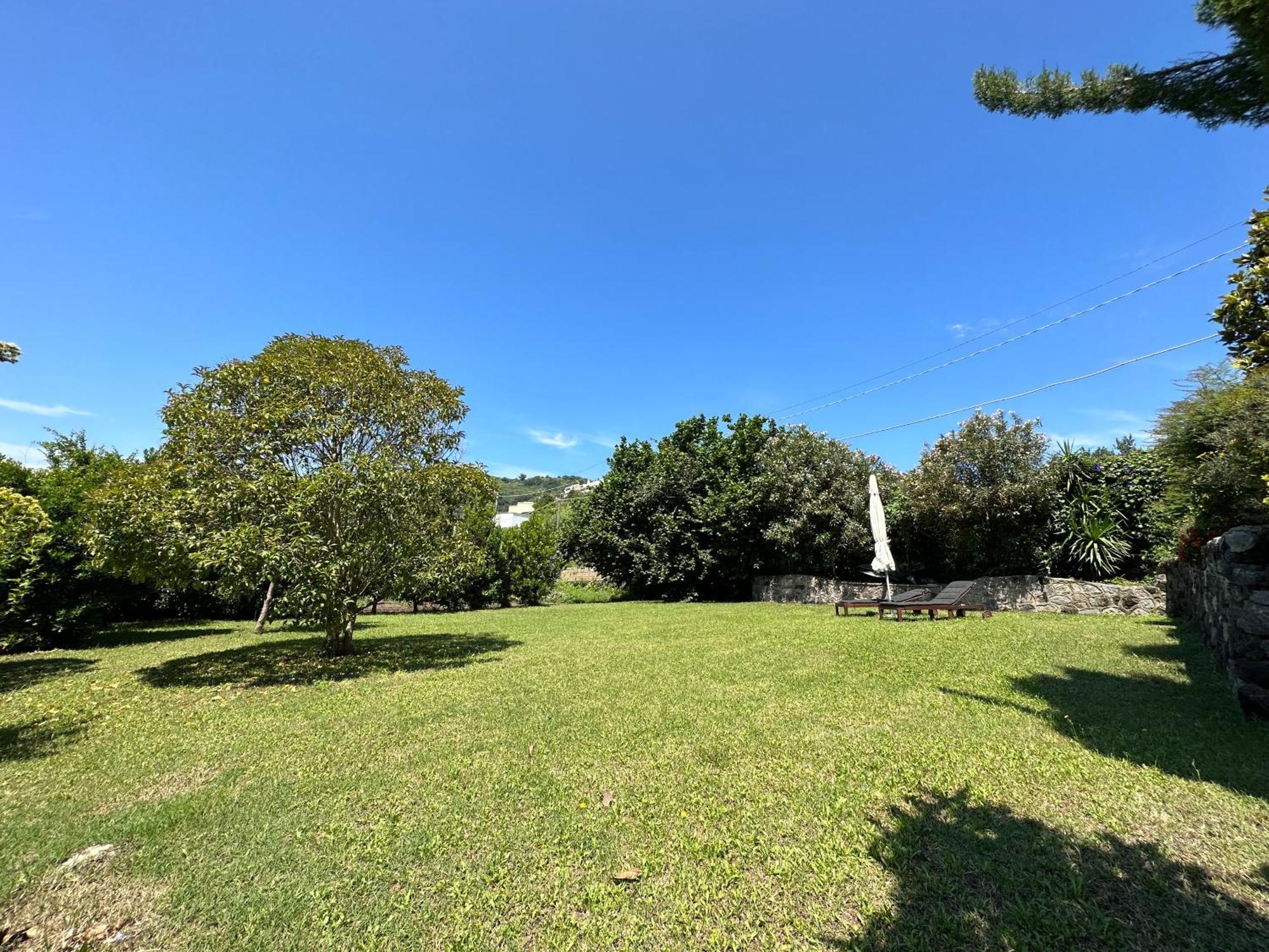 Villa Vincenzo Di Meglio Barano dʼIschia Exteriér fotografie