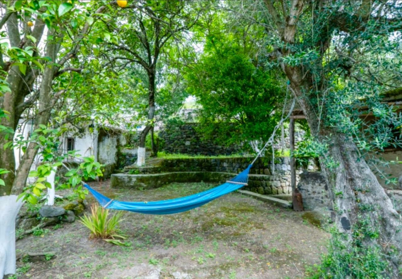 Villa Vincenzo Di Meglio Barano dʼIschia Exteriér fotografie