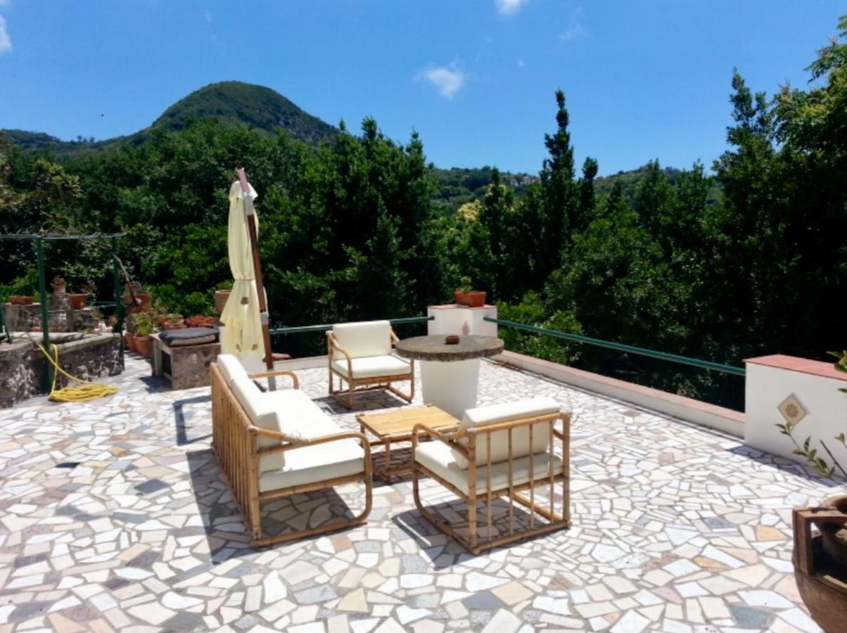 Villa Vincenzo Di Meglio Barano dʼIschia Exteriér fotografie