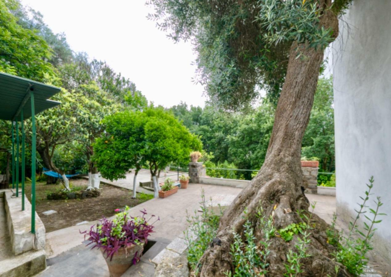 Villa Vincenzo Di Meglio Barano dʼIschia Exteriér fotografie