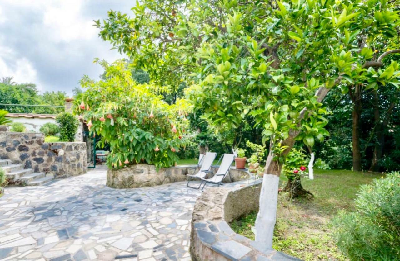 Villa Vincenzo Di Meglio Barano dʼIschia Exteriér fotografie