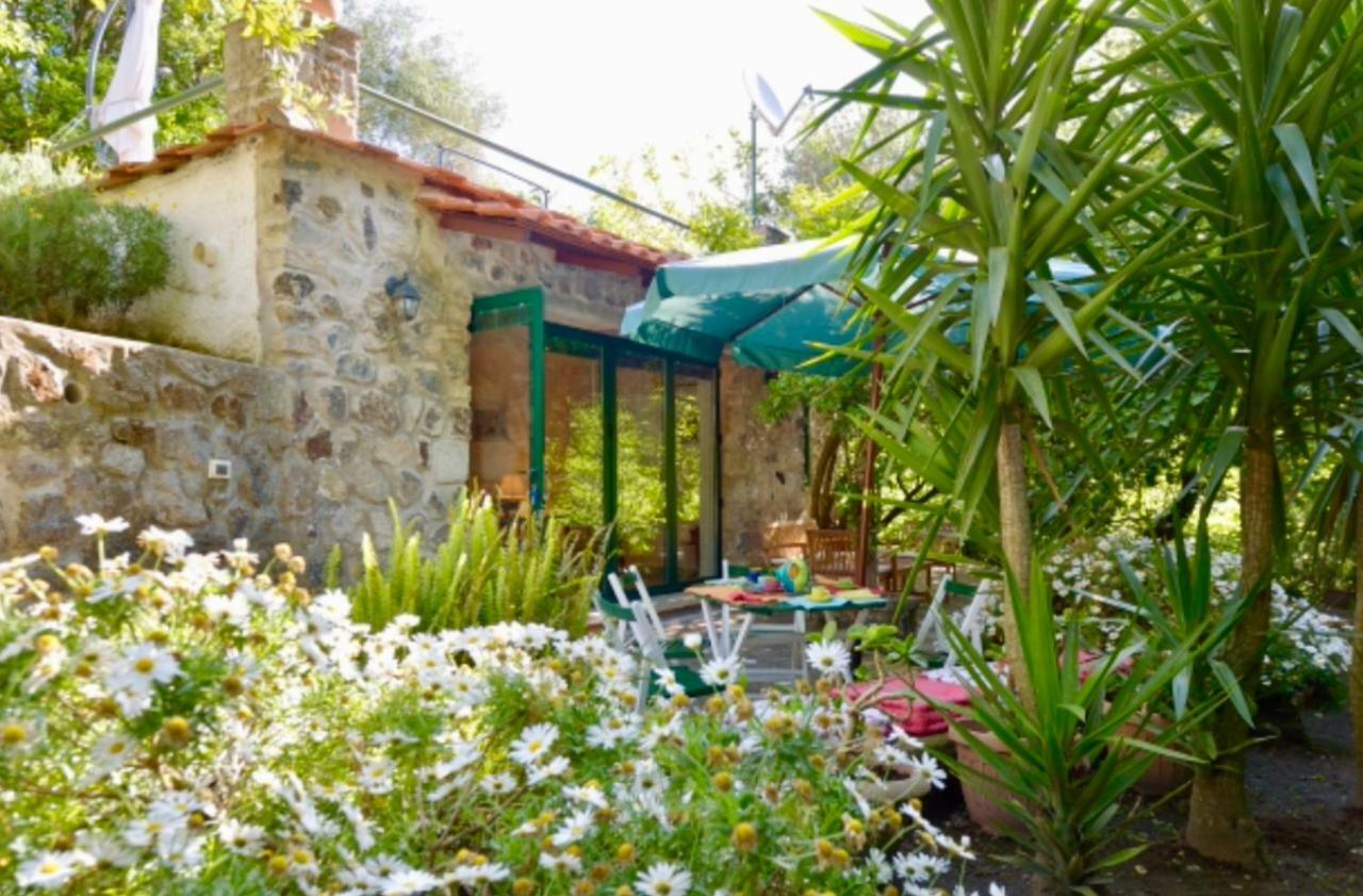 Villa Vincenzo Di Meglio Barano dʼIschia Exteriér fotografie