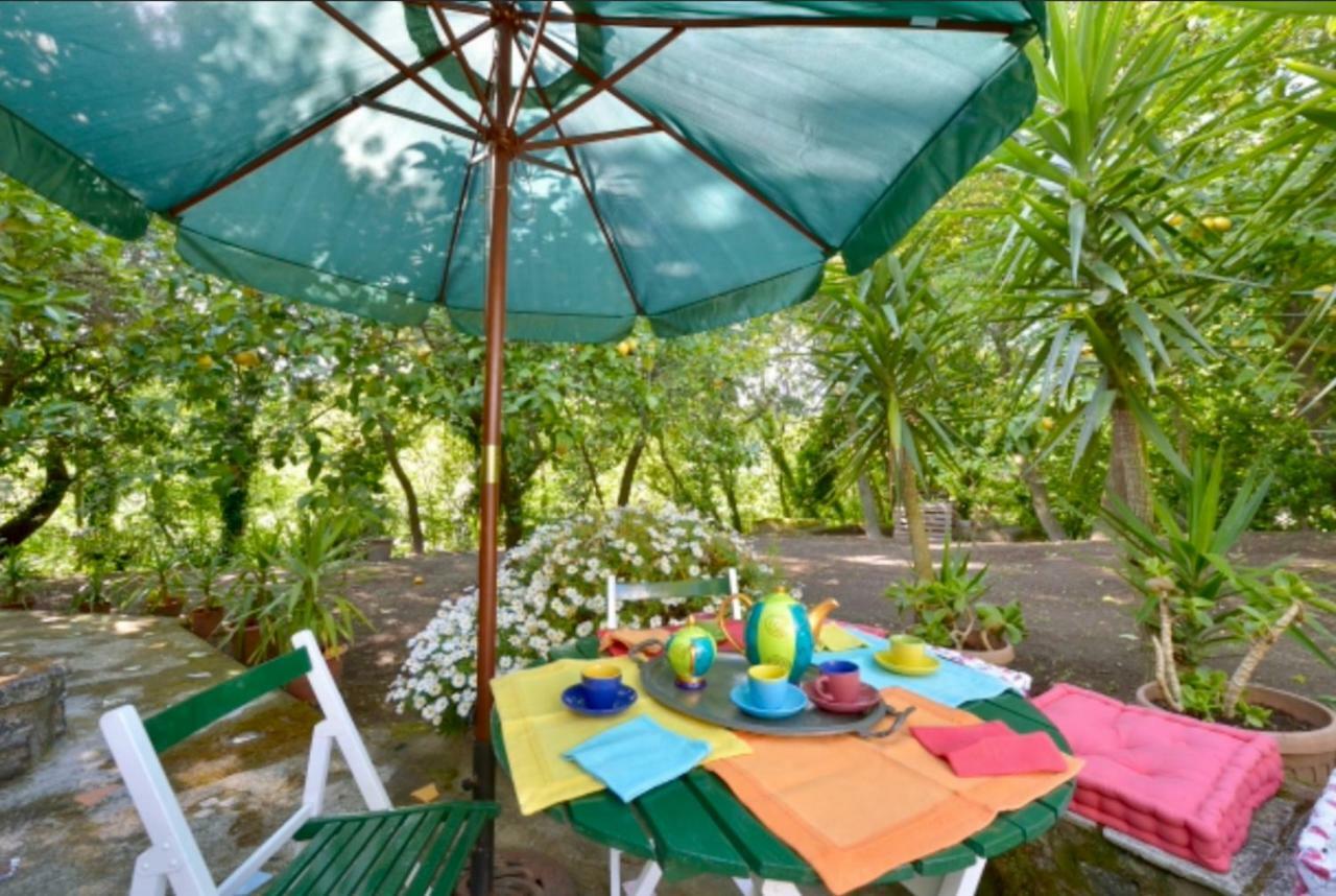 Villa Vincenzo Di Meglio Barano dʼIschia Exteriér fotografie