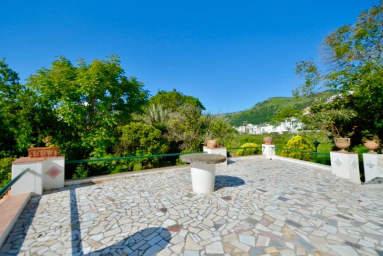 Villa Vincenzo Di Meglio Barano dʼIschia Exteriér fotografie