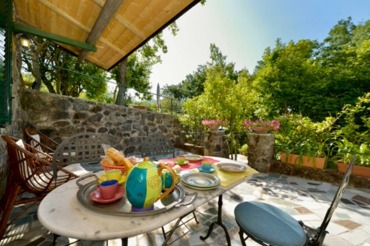 Villa Vincenzo Di Meglio Barano dʼIschia Exteriér fotografie
